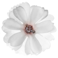 Květy umělé bílé 4,5 cm 12 ks