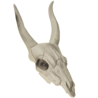 Lebka dekorační, buvol 15,5cm x 14cm x 40cm