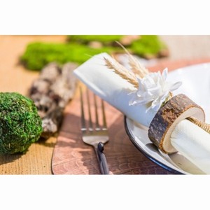 Dekorace mechové koule