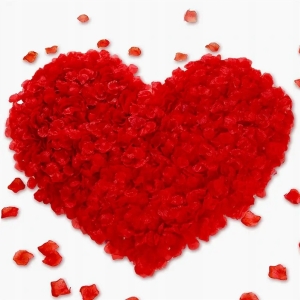 Lístky okvětní červené 500 ks