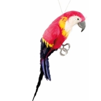 Papoušek dekorační 37 x 10 cm