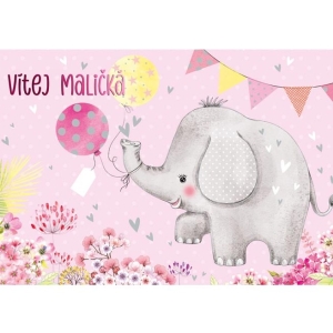 Pn Vtej malik se slonkem rov
