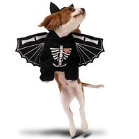 Psí kostým Netopýr 45x35 cm