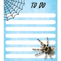 Samolepící papírky Pavouk 7 x 8 cm