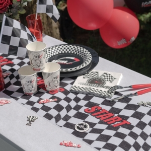 erpa na stl Formule 1 30x500cm