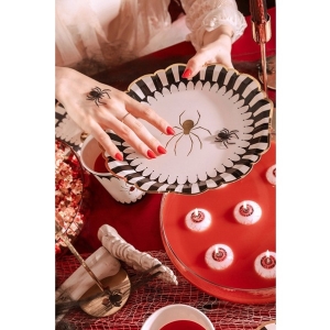 Tale paprov s pavoukem erno-bov 23 cm 6 ks