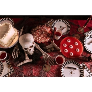 Tale paprov s pavoukem erno-bov 23 cm 6 ks