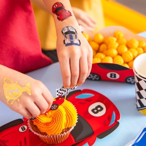 Tetov�n� do�asn� Z�vodn� auta