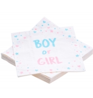 Ubrousky papírové Boy or Girl 33 x 33  cm 20 ks