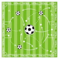 Ubrousky papírové Fotbal 33 x 33 cm 10 ks
