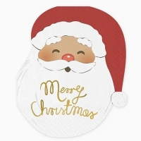 Ubrousky papírové Merry Christmas Santa 13x16 cm 12 ks