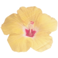 Ubrousky papírové Tropical Květ ibišku 16,5 x 16,5 cm 16 ks