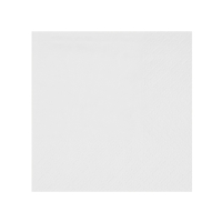 Ubrousky papírové bílé 21 x 20 cm 25 ks