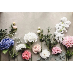 Uml kvtina  Pivoka, 35 cm, rov