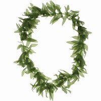 Věnec havajský, zelené listy 1 ks