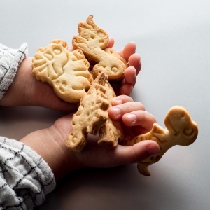 Vykrajovtka Dinosaui 2 ks