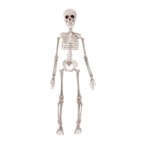 Závěsná dekorace kostra 50 cm