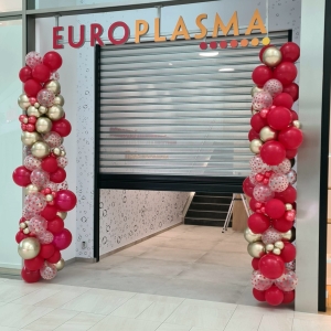 europlasma dekorace vstupu