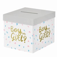 BOX Kluk nebo holka? 20x20cm