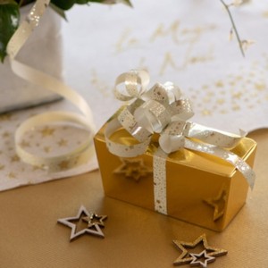 STUHA s hv�zdi�kami zlat� 10mmx25m