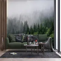 Vliesová fototapeta na zed' Vrcholky stromů v?mlze | 375 x 270 cm | FT5P 3031 - 011