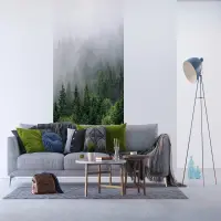 Vliesová fototapeta na zed' Vrcholky stromů v?mlze | 150 x 270 cm | FT2P 2543 - 011