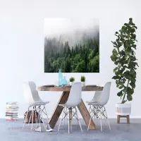 Vliesová fototapeta na zed' Les v ranní mlze | 155 x 110 cm | FTNM 7705 - 011