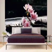 Vliesová fototapeta na zed' Květy sakury na lávových kamenech | 375 x 270 cm | FTNS 2460