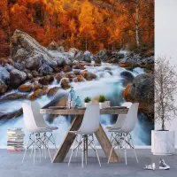 Vliesová fototapeta na zed' Podzimní potok | 375 x 270 cm | FTNXXL 3012