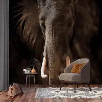 Vliesová fototapeta na zed' Sloní portrét | 375 x 270 cm | FTNXXL 3016