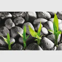 Vliesová fototapeta na zed' Lávové kamene a bambus | 202 x 90 cm | FTNH 2719