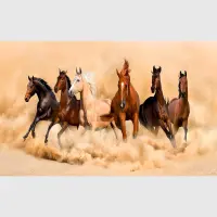 Vliesová fototapeta na zed' Závod ušlechtilých koní | 202 x 90 cm | FTNH 2748