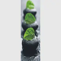 Vliesová fototapeta na zed' Kameny s lístkem | 202 x 90 cm | FTNV 2803