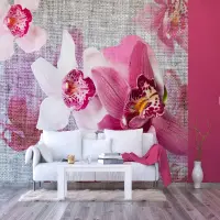 Vliesová fototapeta na zed' Smyslné orchideje | 375 x 270 cm | FTNXXL 1148