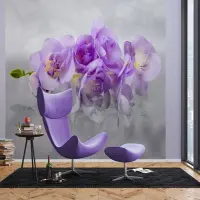 Vliesová fototapeta na zed' Něžná orchidej | 375 x 270 cm | FTNXXL 2400