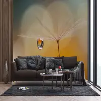 Vliesová fototapeta na zed' Pampeliškové chmýříčko | 375 x 270 cm | FTNXXL 3020