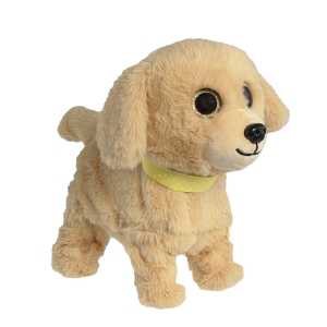 Hafíci II. Lumpík - Retrívr