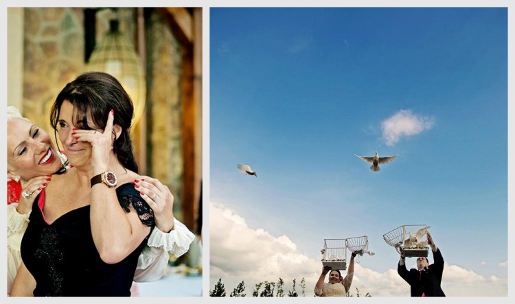 vypouštění holubic